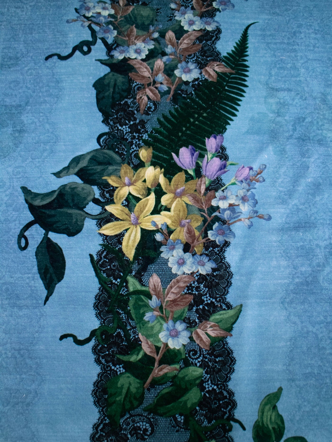 Cadover Forget-me-not blue