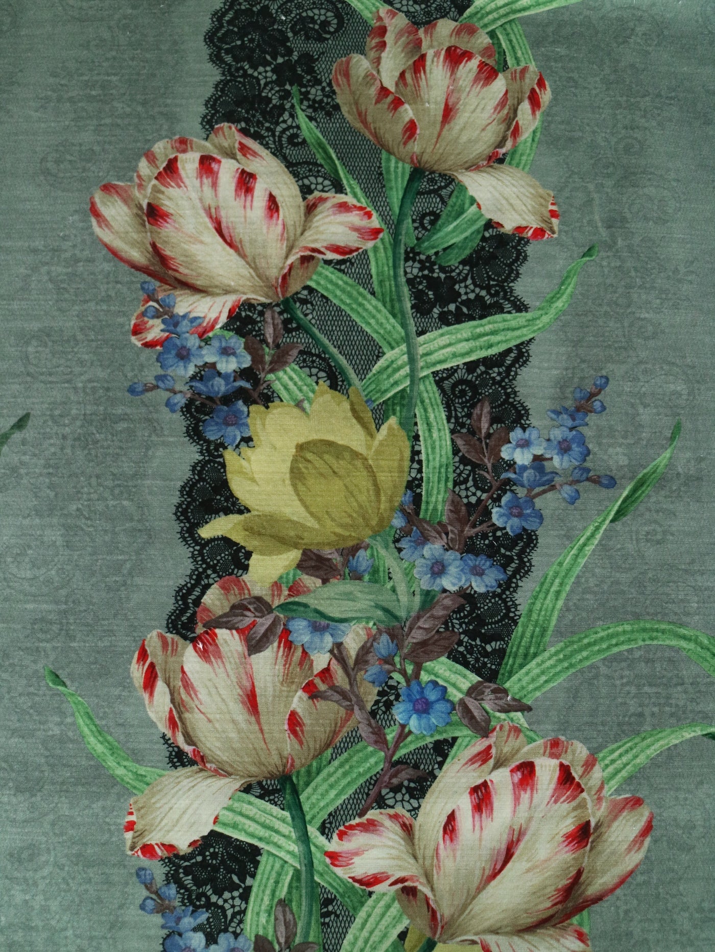Tulip velvets Silver Moss Green