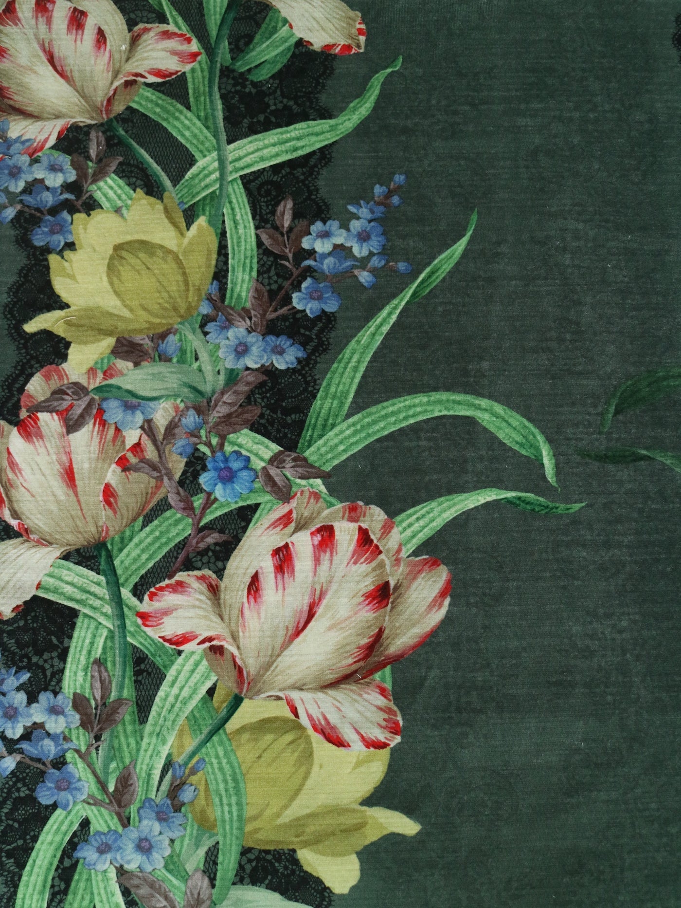 Tulip velvets Midnight Ivy Green