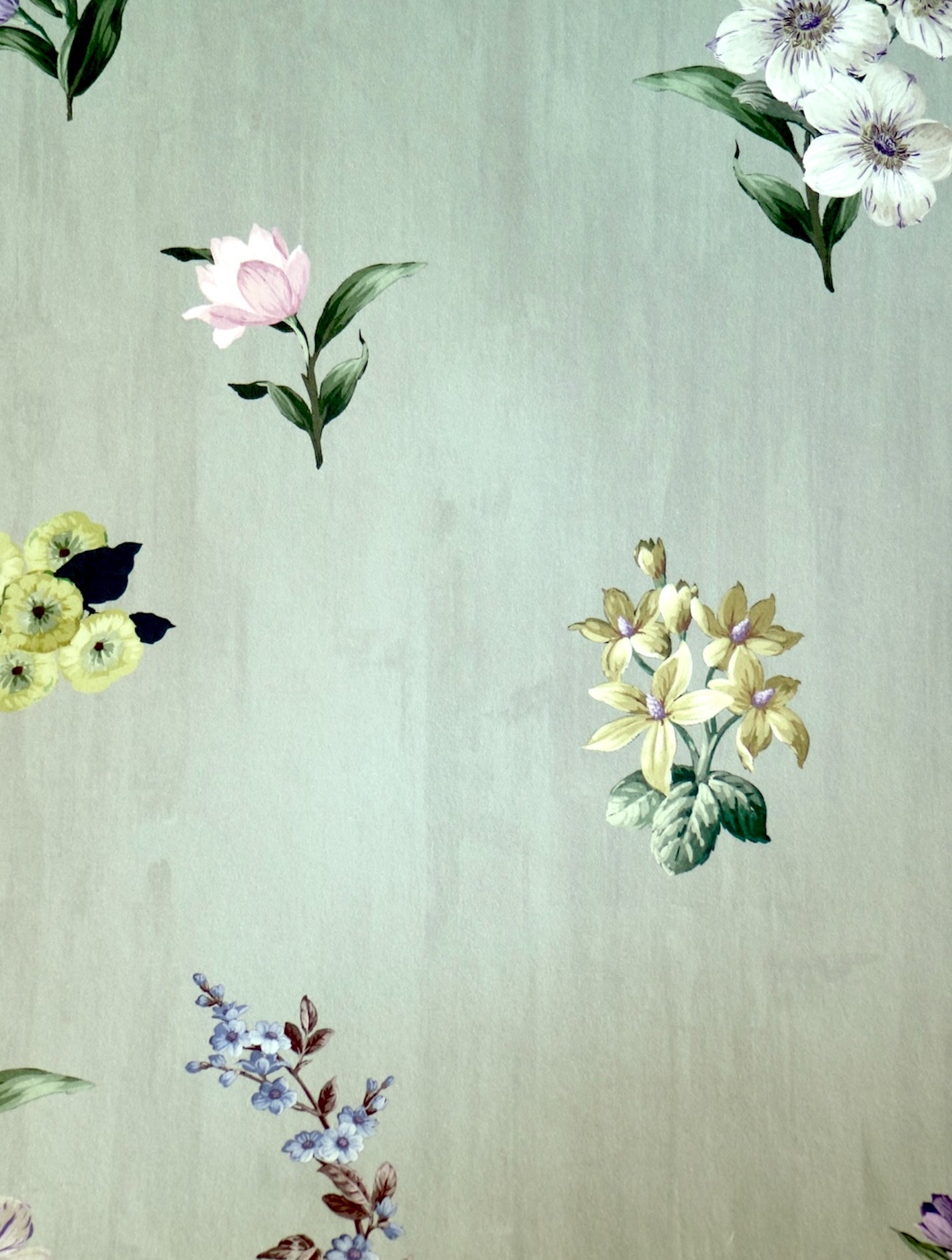 Belstone wallpaper Lichen Green