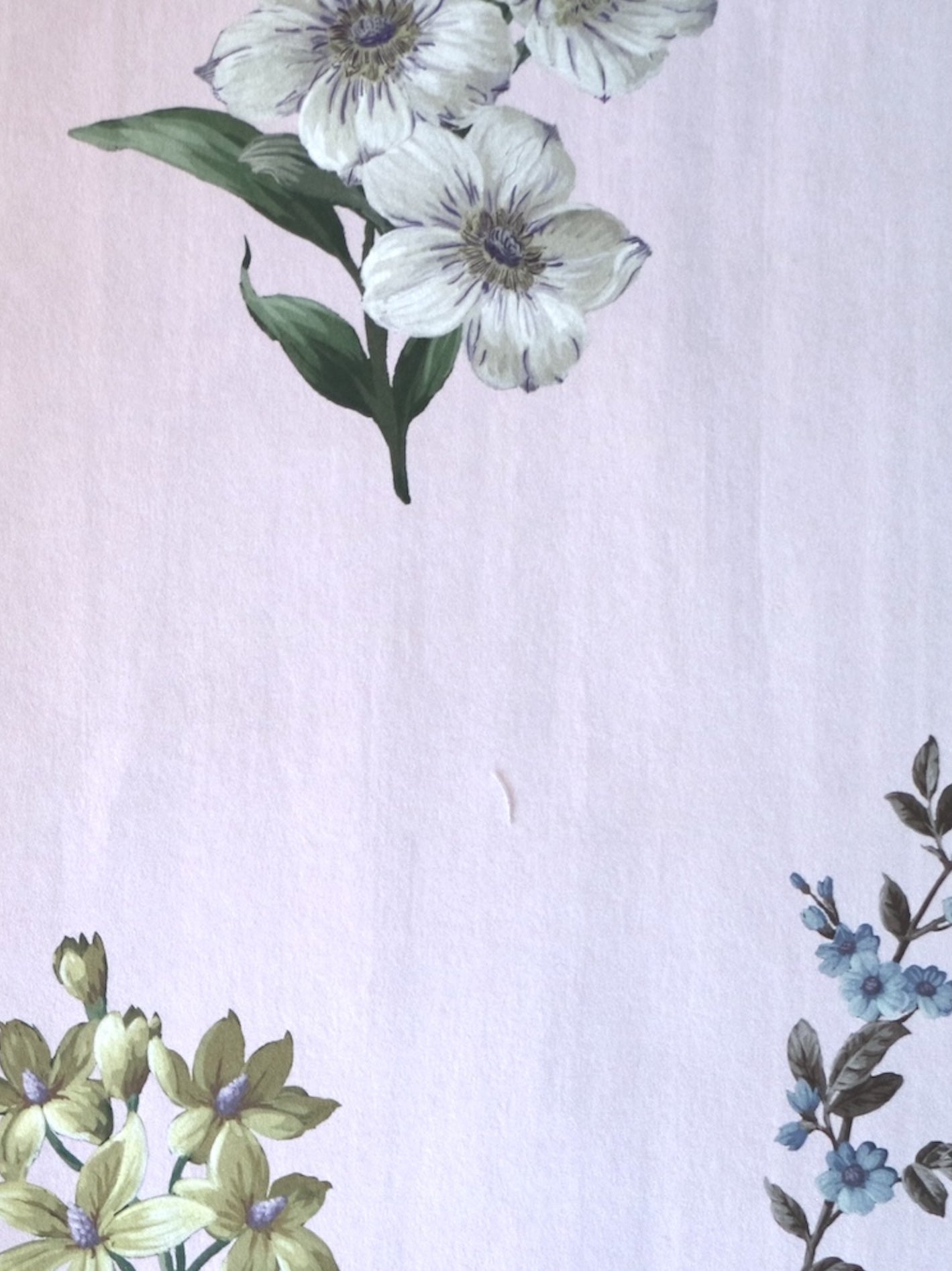 Belstone wallpaper Cuckoo-Flower Pink