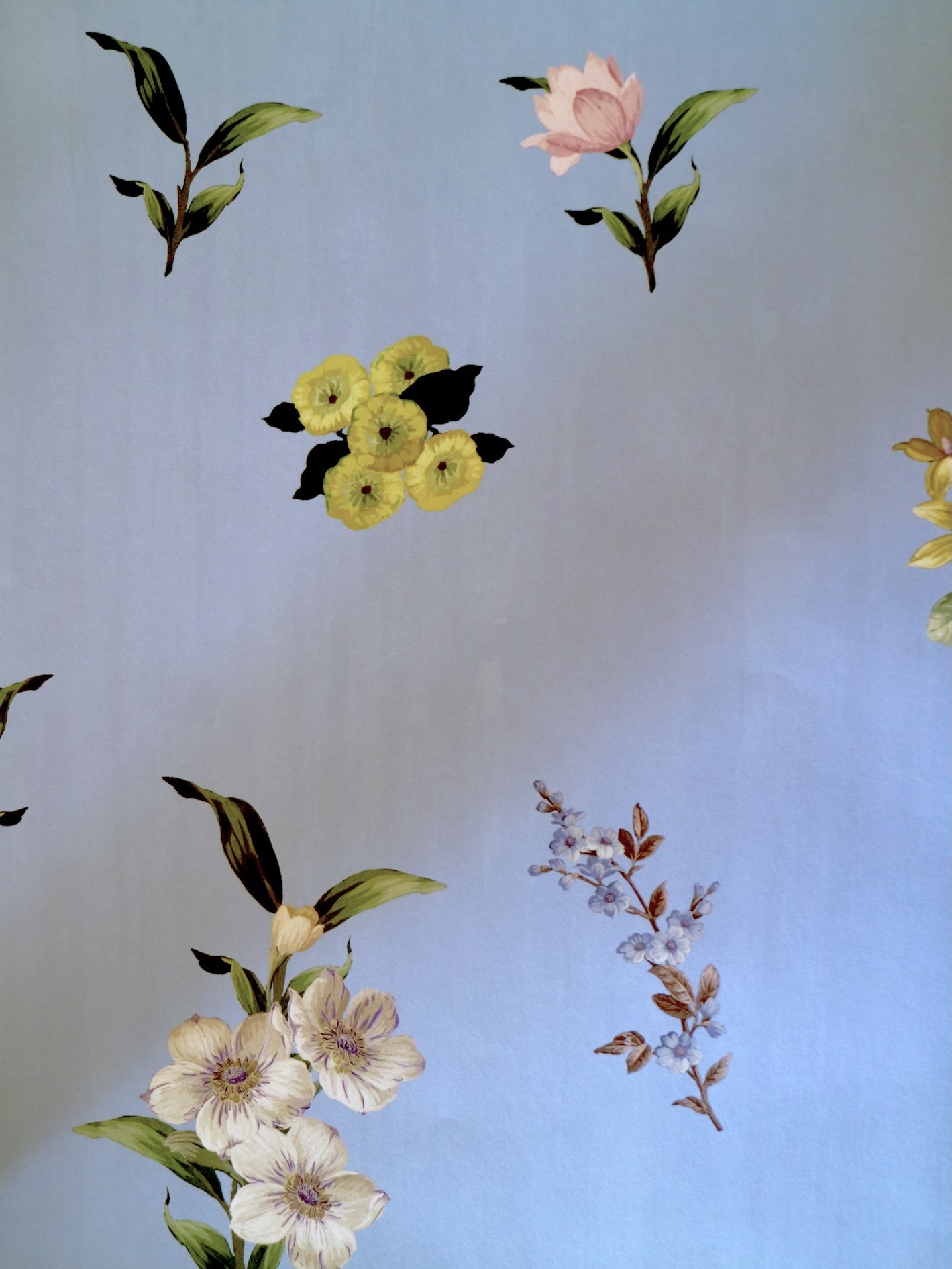 Belstone wallpaper Forget-me-not Blue