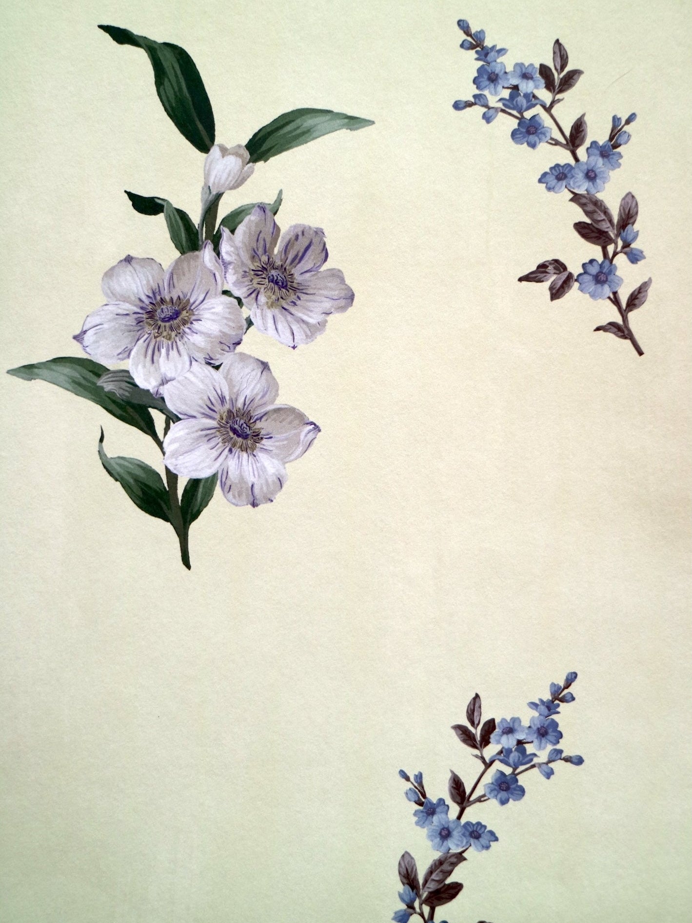 Botanical art print featuring light blue flowers and green leaves on the left, with smaller blue-purple floral sprigs on the right, set against a pale yellow background.
